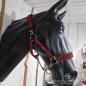 Preview: Schmuckhalfter "Kiki" - Farben: Imperial Red Diamond / Imp. Red / Schwarz