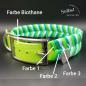 Preview: Farbanordnung "Halsband TWIN"