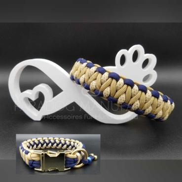 Halsband Rigid Dragon, Modell 