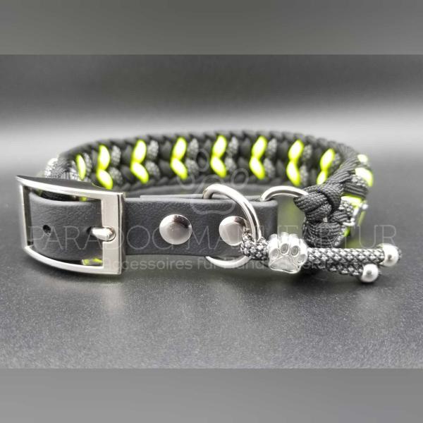 Halsband/Leinen - Set "Taco"