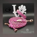 Halsband/Leinen - Set 